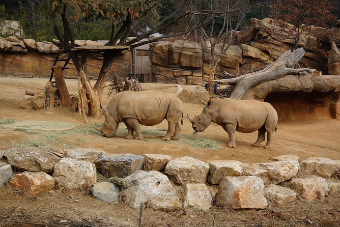 EVERLAND "From Hotel to Hotel" [Premium Private Tour: Only One Group for You] - Is $188 per person good value?
