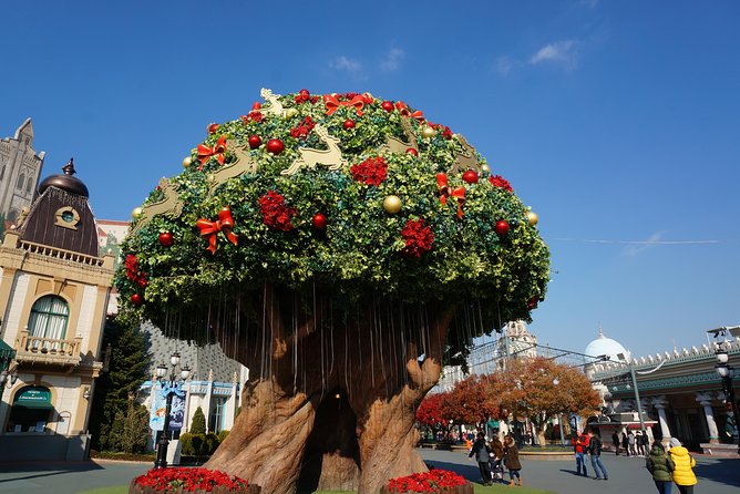 EVERLAND "From Hotel to Hotel" [Premium Private Tour: Only One Group for You] - Lunch, clothing, and the small details that shape the day