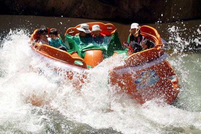 Everland Theme Park Admission Ticket with Transfer from Seoul - Is the $66.67 price good value?