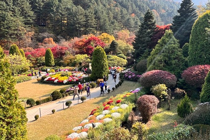 Four Seasons of Nami Island with Garden of Morning Calm Tour - Petit France and the shorter stops