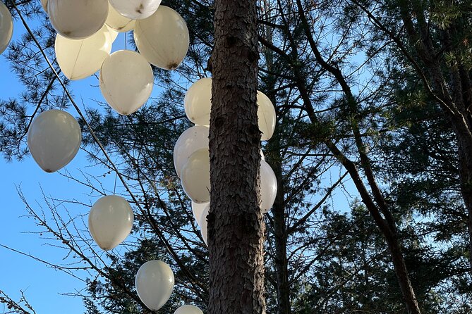Four Seasons of Nami Island with Garden of Morning Calm Tour - Guides, transport, and group size