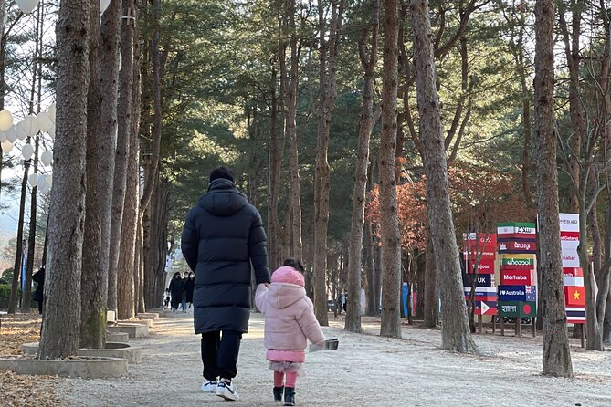 Four Seasons of Nami Island with Garden of Morning Calm Tour - Is $88 a fair price?
