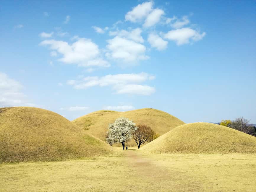 From Busan: Busan & Gyeongju One Day Tour - Daereungwon and the royal tombs of Gyeongju