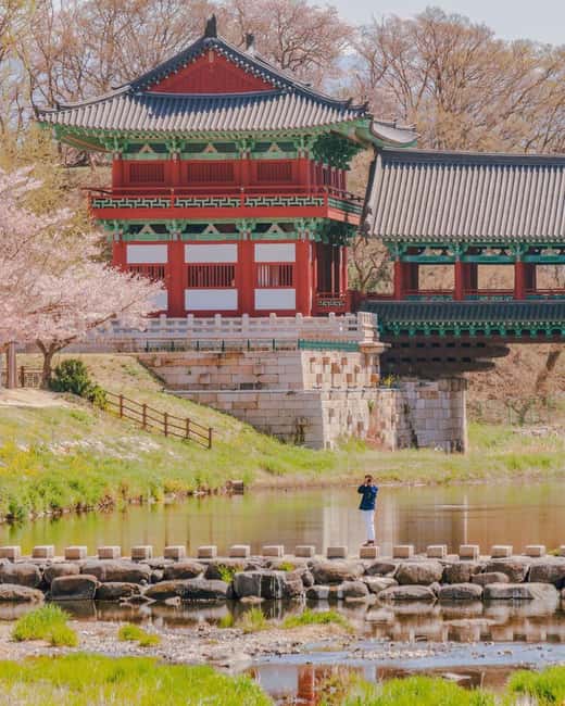 From Busan: Busan & Gyeongju One Day Tour - Cheongsapo and Haeundae Blue Line Park