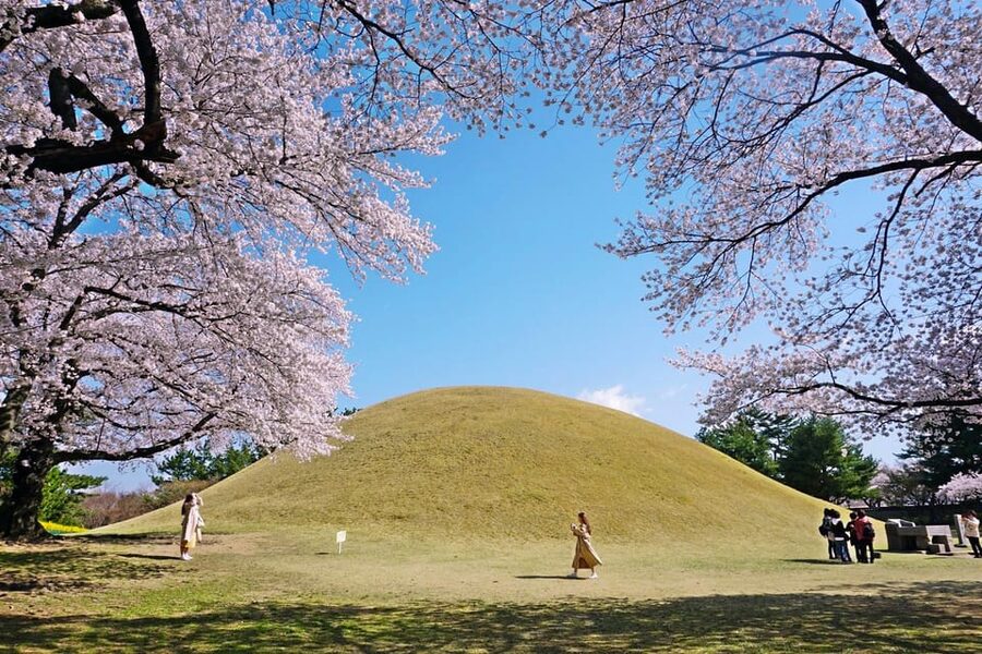 From Busan: Echoes of Silla Gyeongju Historical Day Tour - Daereungwon Tomb Complex: ancient burial mounds in the city