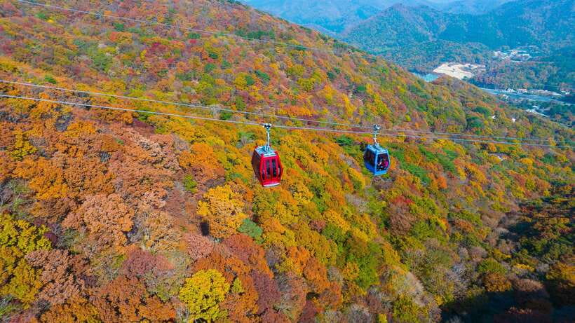 From Busan: Enchanting Oedo Island Day Tour with Windy Hill - Oedo Island is the reason to make the long day