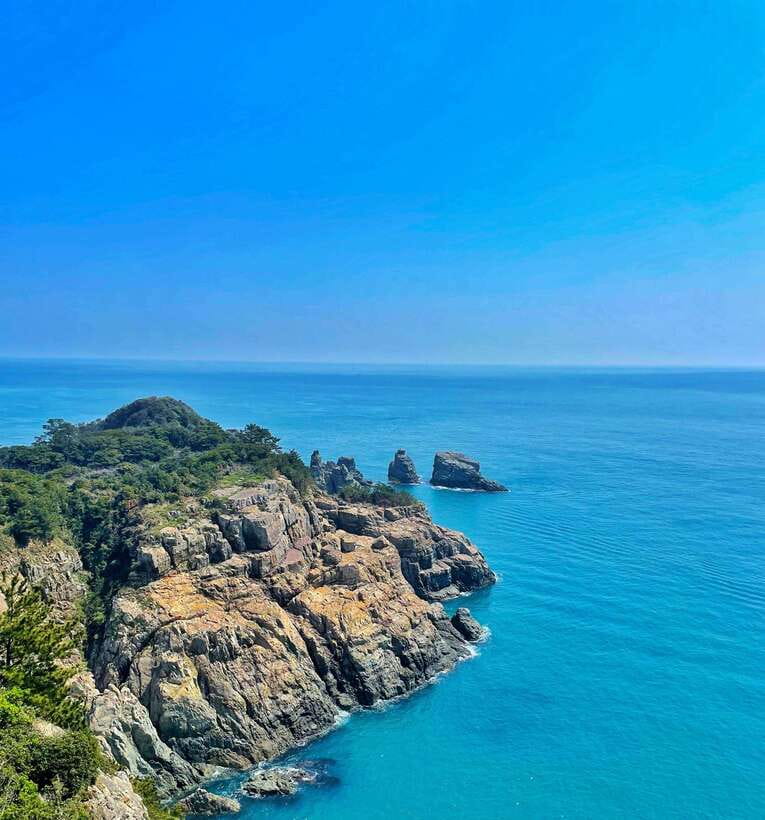 From Busan: Enchanting Oedo Island Day Tour with Windy Hill - The day begins with a long ride from Busan