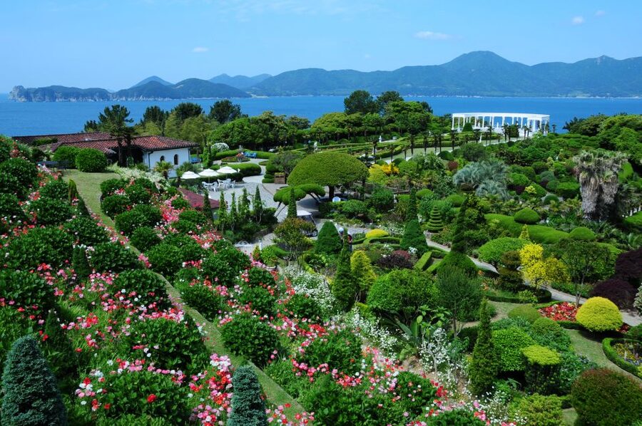 From Busan: Enchanting Oedo Island Day Tour with Windy Hill - Walking through Oedo-Botania