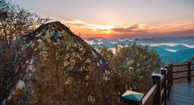 From Busan: Enchanting Oedo Island Day Tour with Windy Hill - Geoje Panorama Cable Car adds a second big view