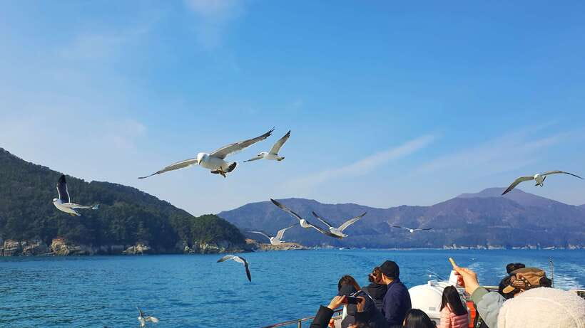 From Busan: Enchanting Oedo Island Day Tour with Windy Hill - Guides make a real difference
