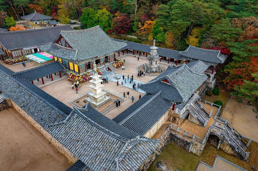 From Busan: Gyeongju Full-Day Historical Tour - Yangdong Folk Village and Traditional Hanok Homes