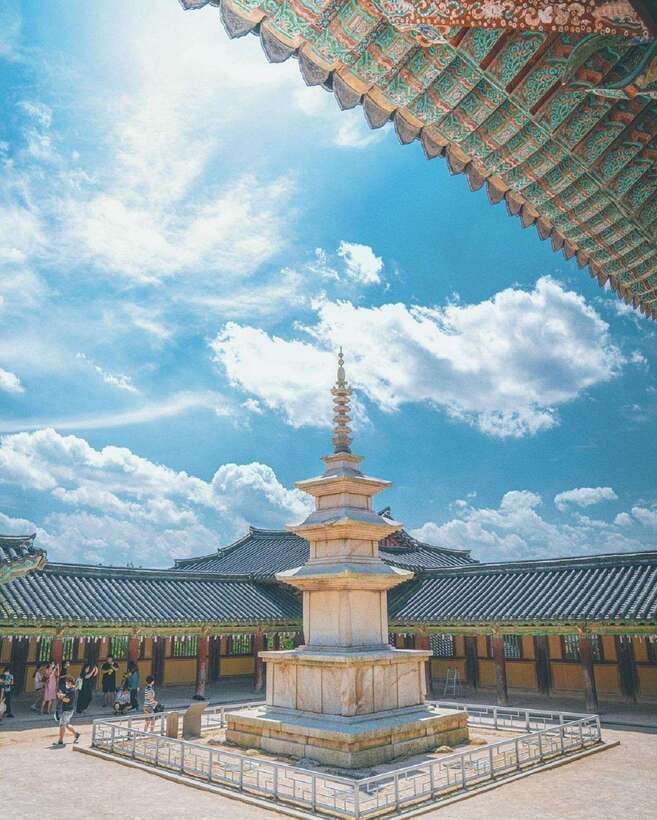 From Busan: Gyeongju Full-Day Historical Tour - Who Will Get the Most from This Tour