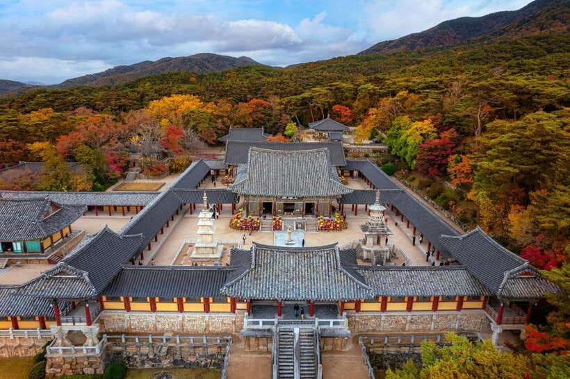 From Busan: Gyeongju Historical Day Tour with Sky Capsule - Haedong Yonggungsa, a temple beside the sea