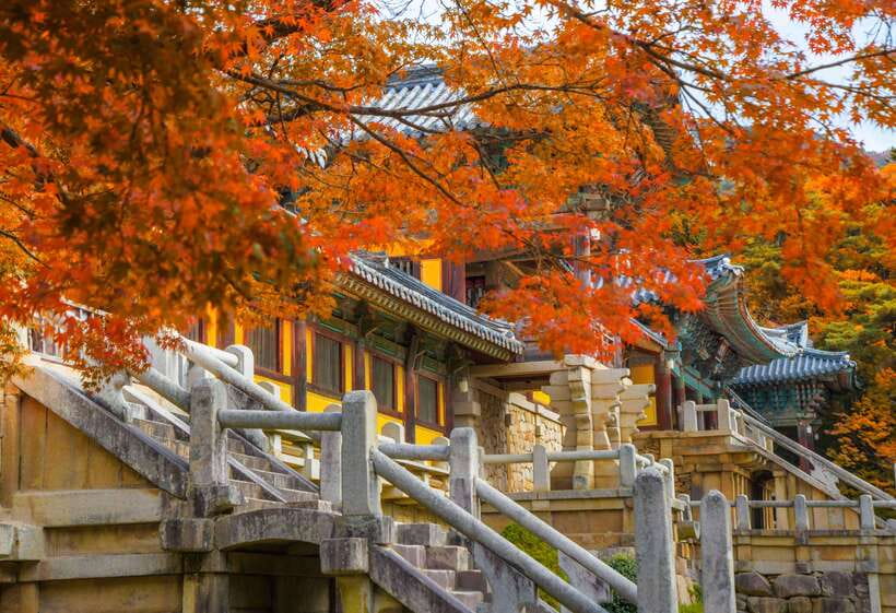 From Busan: Gyeongju UNESCO World Heritage Guided Day Tour - Why Gyeongju makes a great day from Busan