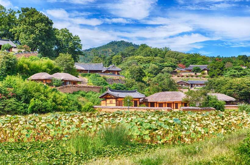 From Busan: Gyeongju UNESCO World Heritage Guided Day Tour - Daereungwon: walking among Silla royal tombs