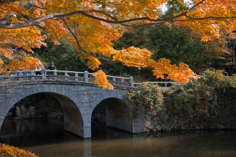 From Busan: Gyeongju UNESCO World Heritage Guided Day Tour - Hwangnidan Street: a short break in modern Gyeongju