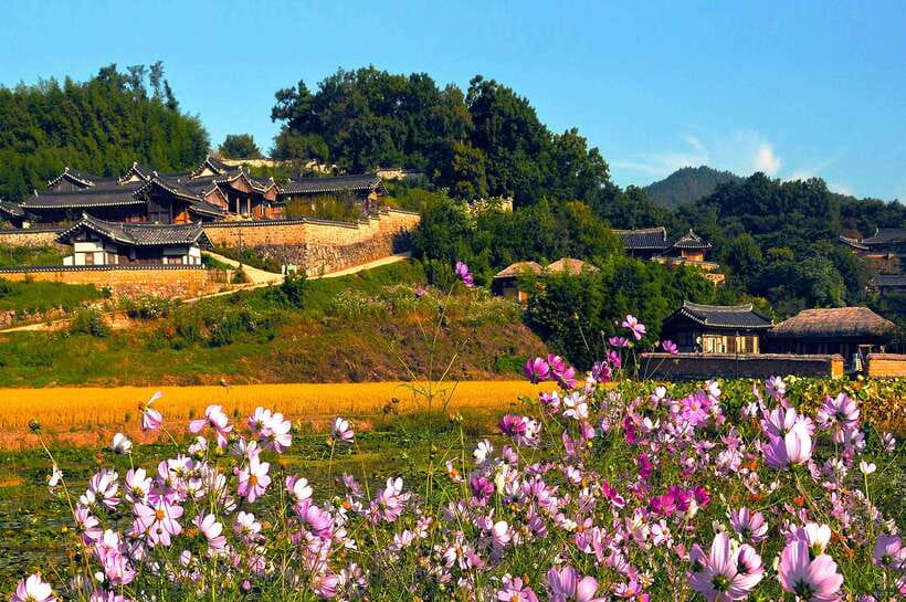 From Busan: Gyeongju UNESCO World Heritage Guided Day Tour - Woljeong Bridge after dark