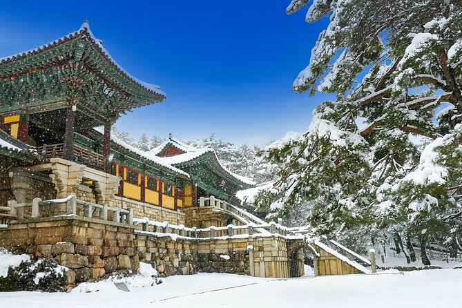 From Busan to Gyeongju UNESCO Legacy Tour with National Museum - Key things to know before booking