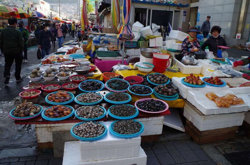 From Seoul: 5-Day Tour of Korea with UNESCO Sites - Key points to know before booking