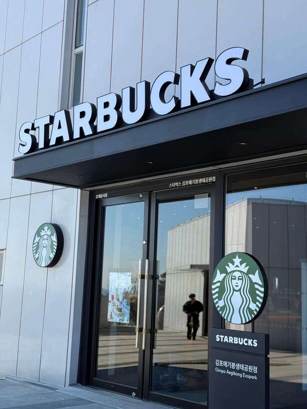 From Seoul: Aegibong Starbucks Observatory & DMZ View - Key points at a glance