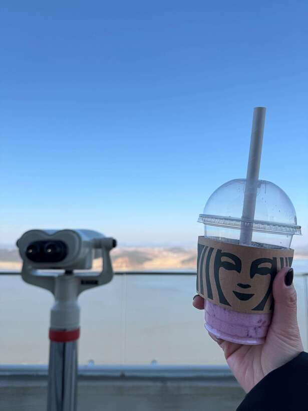 From Seoul: Aegibong Starbucks Observatory & DMZ View - The ride from Seoul and meeting options