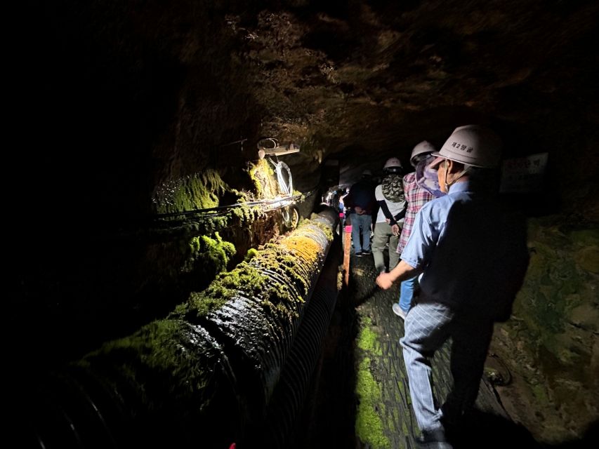 From Seoul: Cheorwon DMZ and 2nd Tunnel Tour with Lunch - Is the $95 price fair?