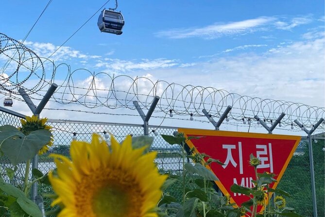 From Seoul: Cost-Benefit DMZ Shuttle Bus tour - Imjingak Park and the signs of peace
