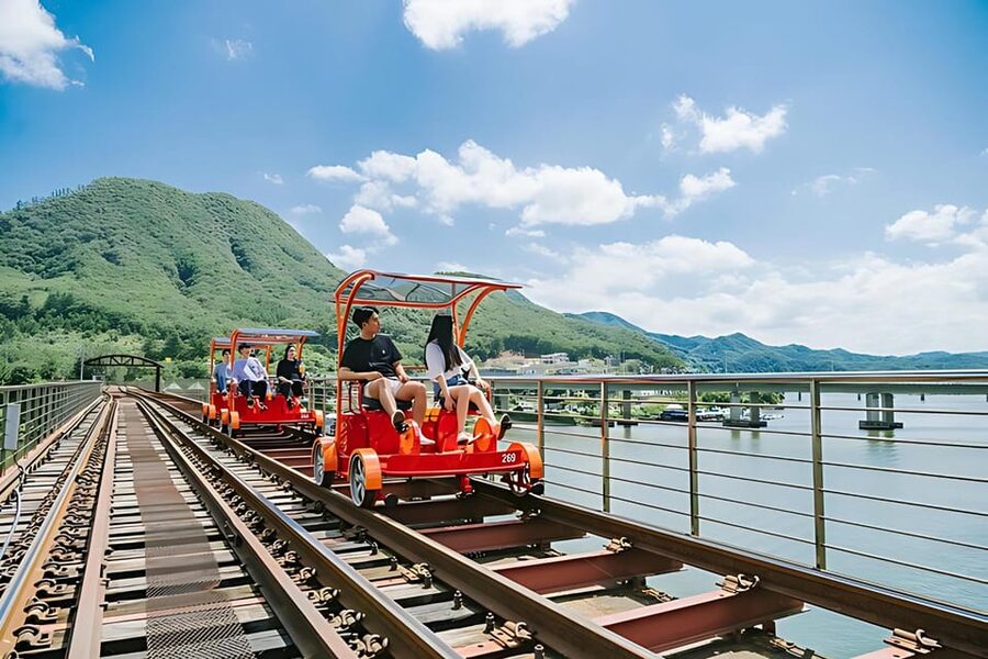 From Seoul: Full Day Trip to Alpaca Farm with Rail Bike - Should you book this experience?