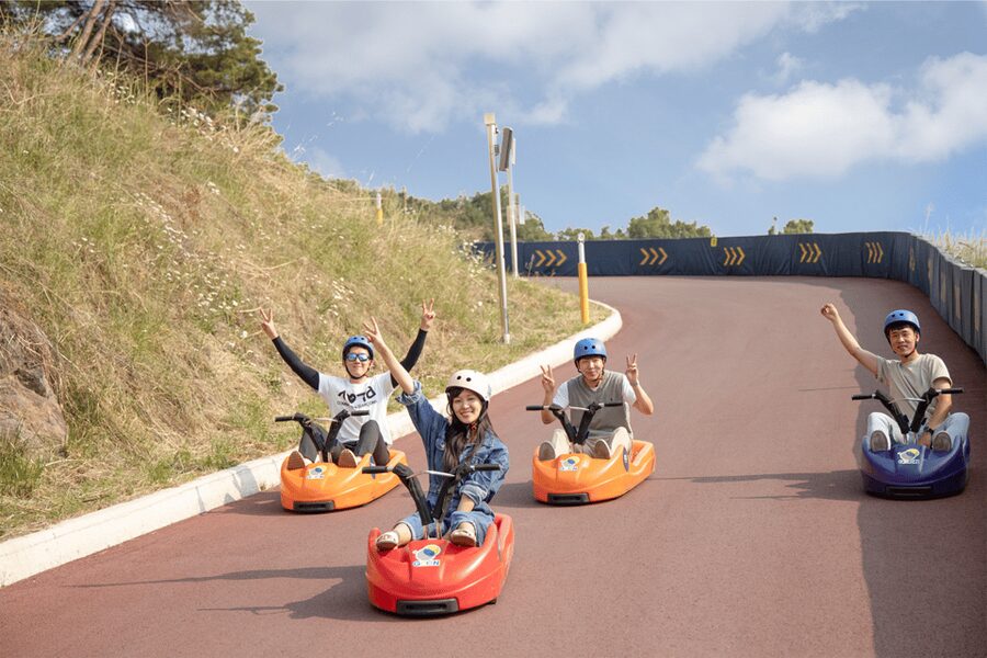 From Seoul: Full Day Trip to Alpaca Farm with Rail Bike - Meeting alpacas at Alpaca World