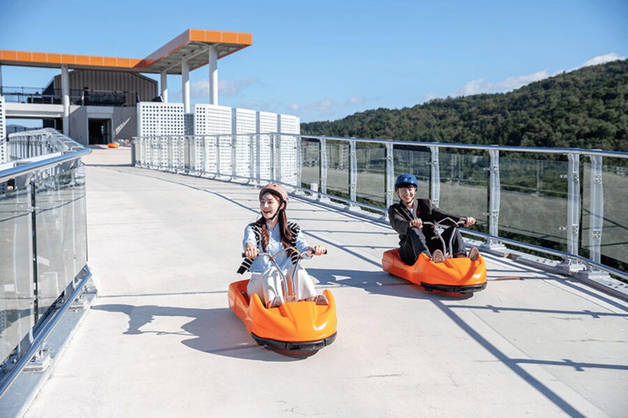 From Seoul: Full Day Trip to Alpaca Farm with Rail Bike - What the day feels like in practice