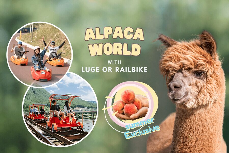 From Seoul: Full Day Trip to Alpaca Farm with Rail Bike - Is $59 good value?