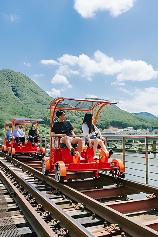 From Seoul: Full Day Trip to Alpaca Farm with Rail Bike - Who should choose this day trip?