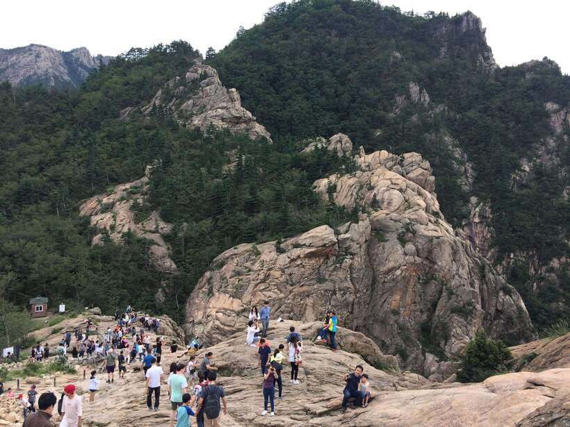 From Seoul: Korea Spring Cherry Blossom Day Tour - Maisan Mountain and the twin peaks