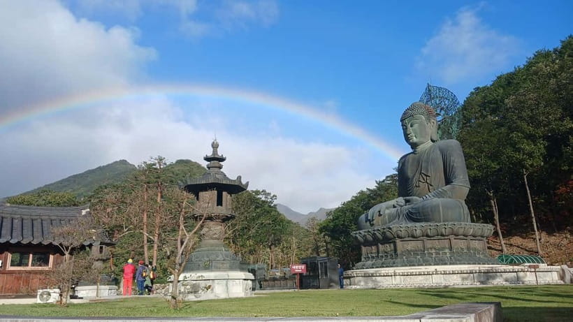 From Seoul: Korea Spring Cherry Blossom Day Tour - Food, walking, and what to bring