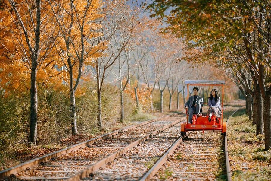 From Seoul: Nami Island, K-drama Garden & Rail Bike Day Tour - Why this Seoul escape works