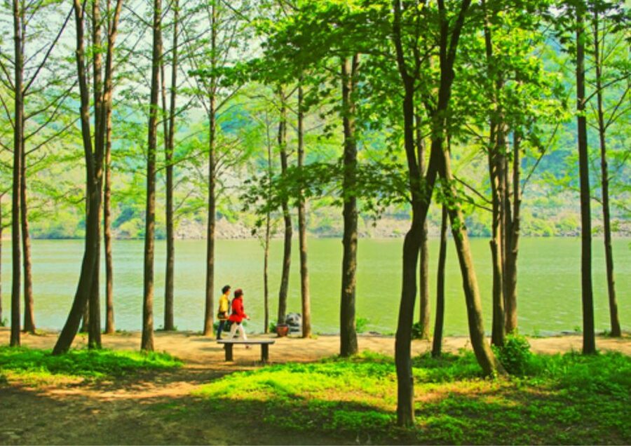 From Seoul: Nami Island, K-drama Garden & Rail Bike Day Tour - Who should book this day trip?