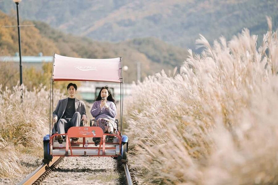 From Seoul: Nami Island, K-drama Garden & Rail Bike Day Tour - Getting out of Seoul by comfortable coach