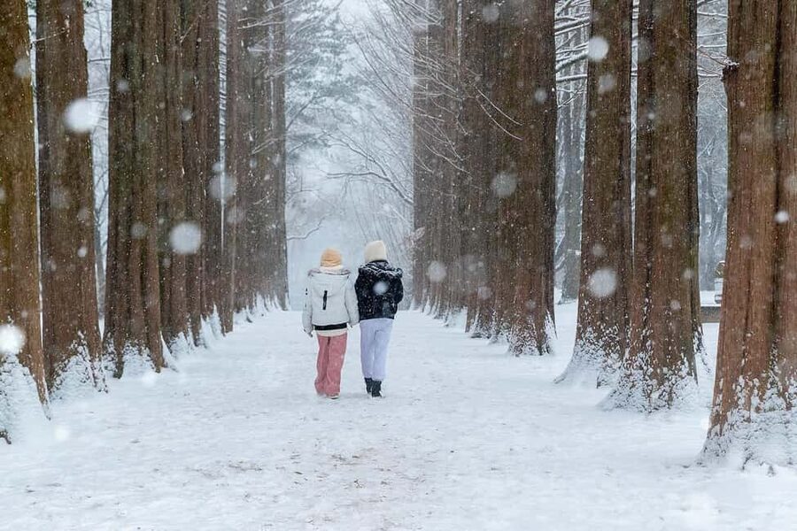 From Seoul: Nami Island, K-drama Garden & Rail Bike Day Tour - Nami Island’s polished K-drama appeal