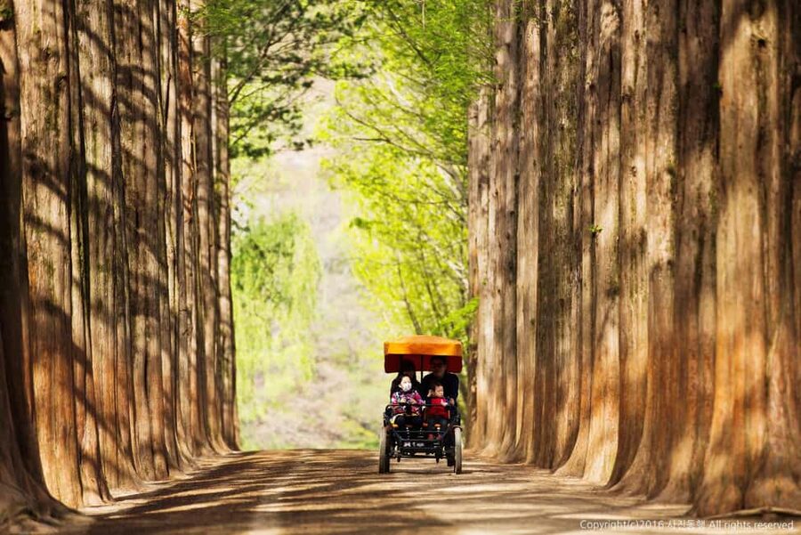 From Seoul: Nami Island, K-drama Garden & Rail Bike Day Tour - Lunch is practical, not part of the ticket