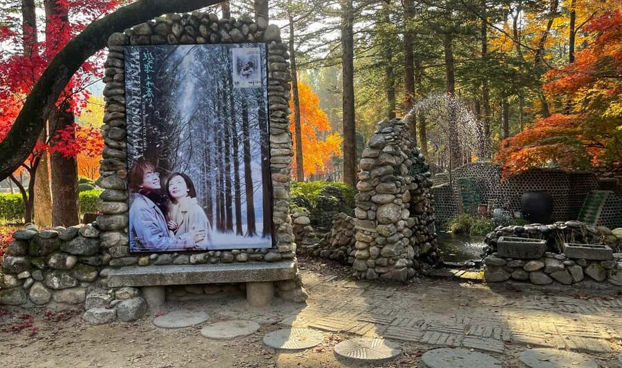 From Seoul: Nami Island, K-drama Garden & Rail Bike Day Tour - Group tour or private car?