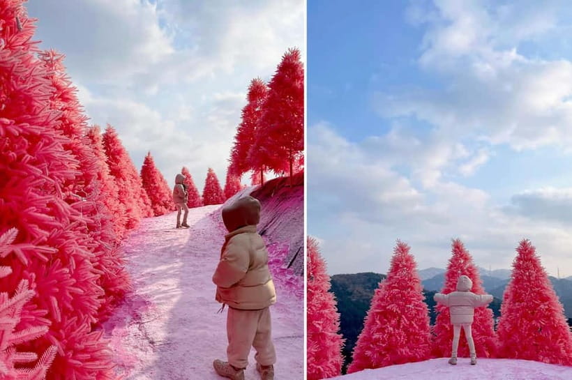 From Seoul: Pocheon, Sanjung Lake and Bidulginang Fall Trip - Key points to know before you book