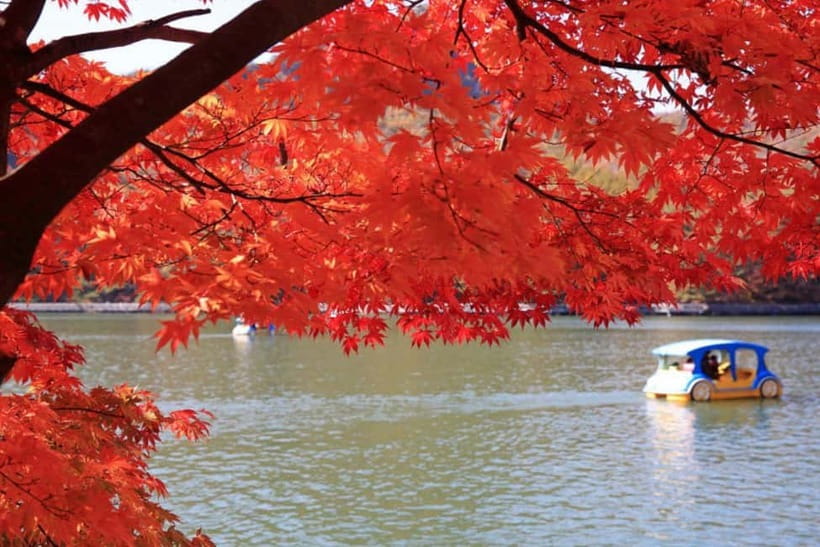 From Seoul: Pocheon, Sanjung Lake and Bidulginang Fall Trip - Herb Island and the pink muhly season