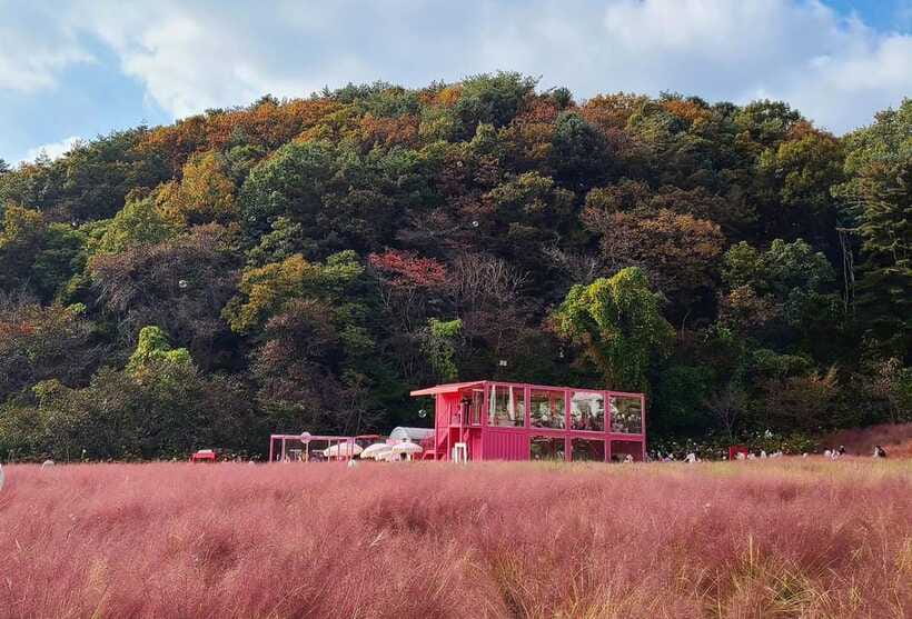 From Seoul: Pocheon, Sanjung Lake and Bidulginang Fall Trip - Who will enjoy this Pocheon day trip