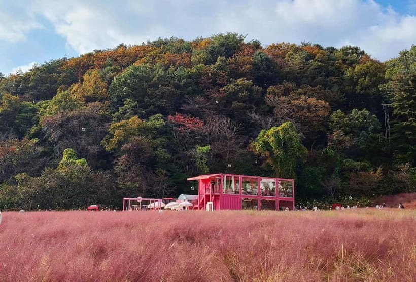 From Seoul: Pocheon, Sanjung Lake and Bidulginang Fall Trip - Sanjung Lake and the value of visiting in autumn