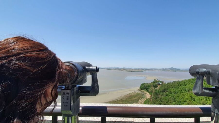 From Seoul: Private DMZ and Odusan Observatory Full-Day Tour - Leaving Seoul for the DMZ