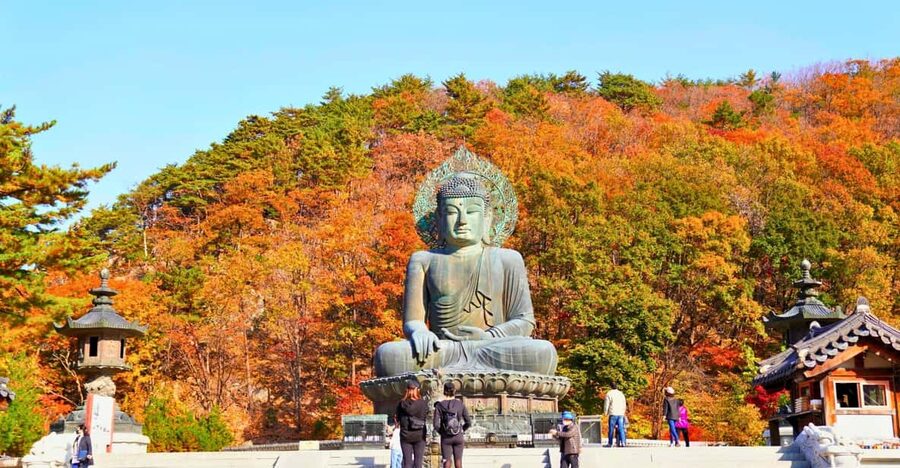 From Seoul: Seoraksan Mountain with Cable Car- Shuttle Bus - Key points to know before booking