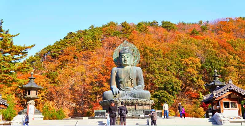 From Seoul: Seoraksan Mountain with Cable Car- Shuttle Bus - Practical ways to make the day better