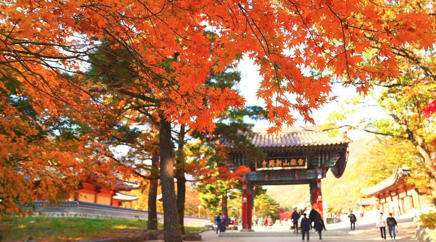 From Seoul: Seoraksan Mountain with Cable Car- Shuttle Bus - Why Seoraksan makes a strong day trip from Seoul
