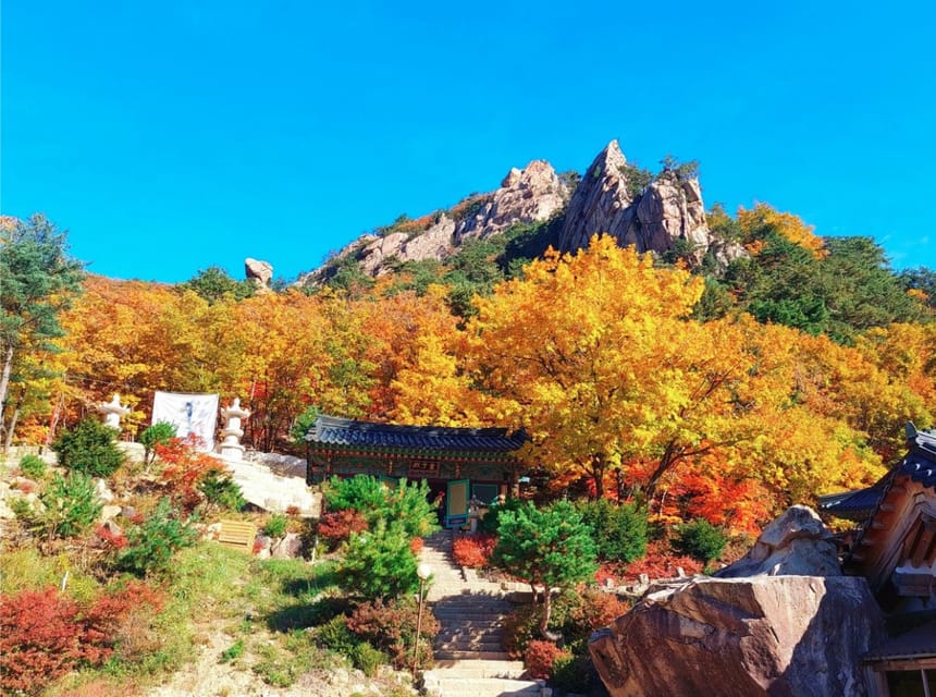 From Seoul: Seoraksan Mountain with Cable Car- Shuttle Bus - Is $67 a fair price?
