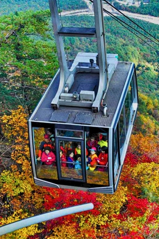 From Seoul: Seoraksan Mountain with Cable Car- Shuttle Bus - Who should book this Seoraksan outing?